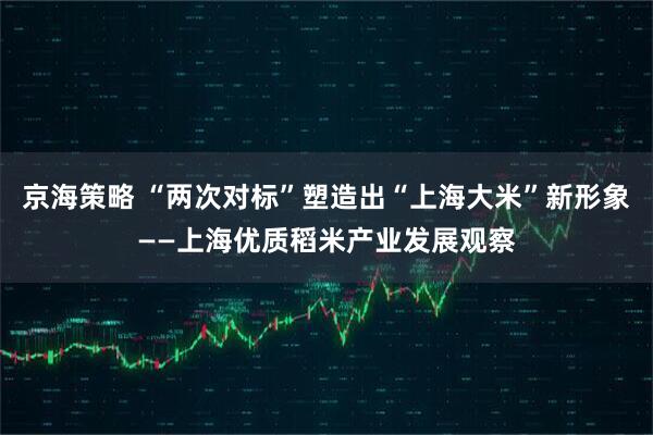 京海策略 “两次对标”塑造出“上海大米”新形象——上海优质稻米产业发展观察