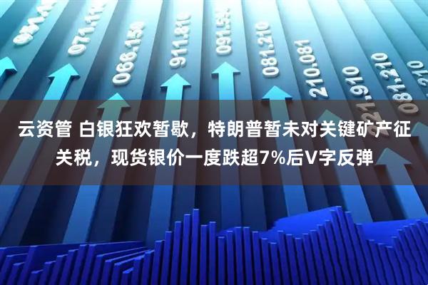 云资管 白银狂欢暂歇，特朗普暂未对关键矿产征关税，现货银价一度跌超7%后V字反弹