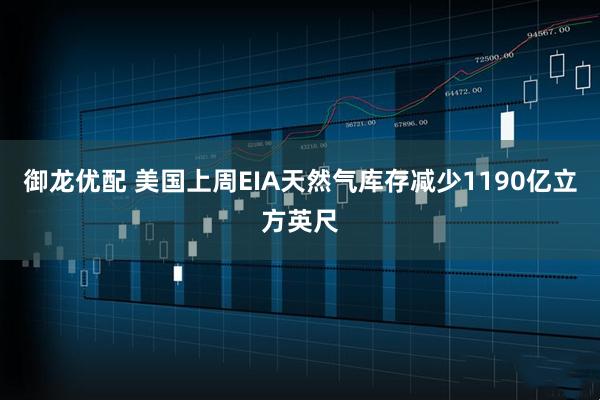 御龙优配 美国上周EIA天然气库存减少1190亿立方英尺