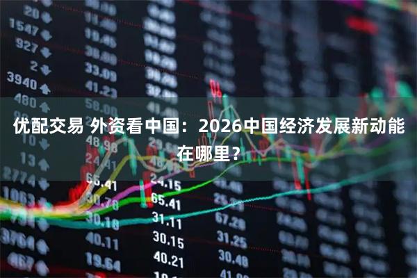 优配交易 外资看中国：2026中国经济发展新动能在哪里？